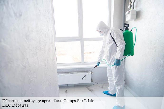 Débarras et nettoyage après décès  camps-sur-l-isle-33660 DLC Débarras